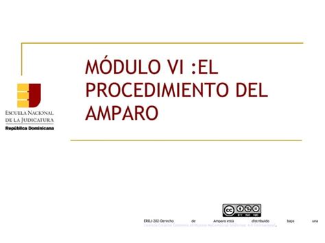 Enj 100 El Procedimiento Del Amparo Ppt Descarga Gratuita