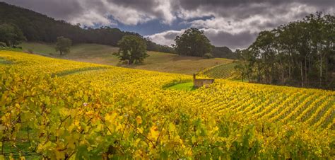 Adelaide Hills Autumn Scene, Australia