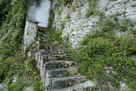 Escalier dans la nature André Bordas Flickr