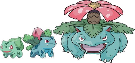 Venusaur Wallpapers Top Free Venusaur Backgrounds Wallpaperaccess