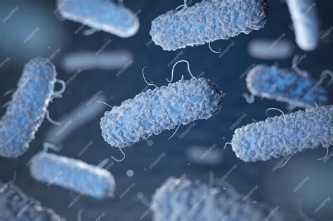 Enterobacterias Bactérias Gram Negativas Escherichia Coli Salmonella