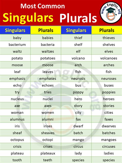 Singular And Plural Noun Rules In English Grammar Engdic