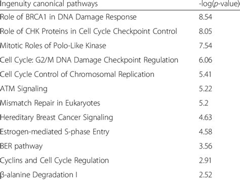 Most Significant Canonical Pathways Identified By Ipa Analysis Of The