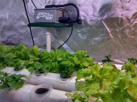 The Hydromazing Smart Garden System