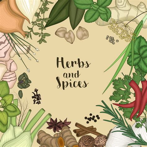 Vector Illustration Of Background Design With Herbs And Spices 6917548