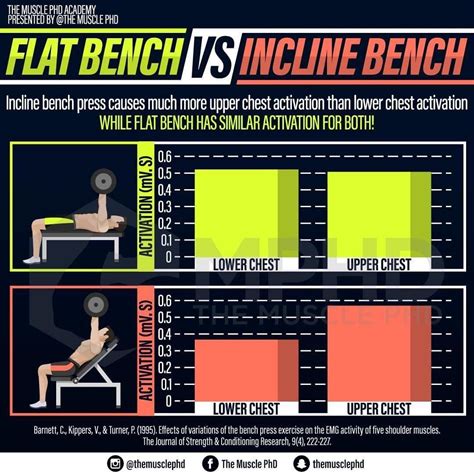 Chest Press Vs Bench Press Muscles Worked At Oscar Loveless Blog