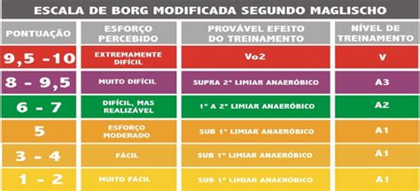 Percep O De Esfor O Na Corrida O Guia Para Usar Escala De Borg E