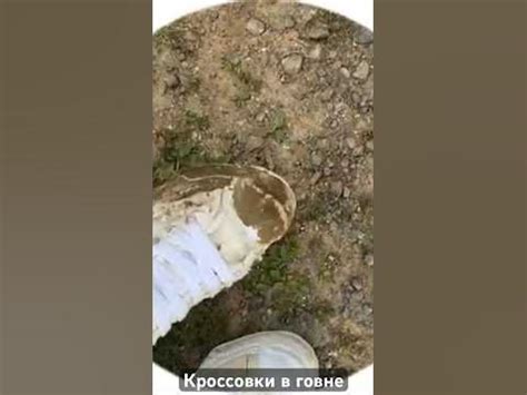 Парадеевич наступил в говно 💩 !!?!? - YouTube