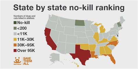 First State By State No Kill Rankings Released Petsplusmagcom