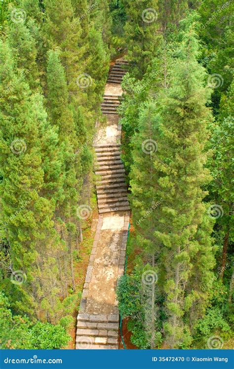 Stairs Up The Hill Stock Photo Image 35472470