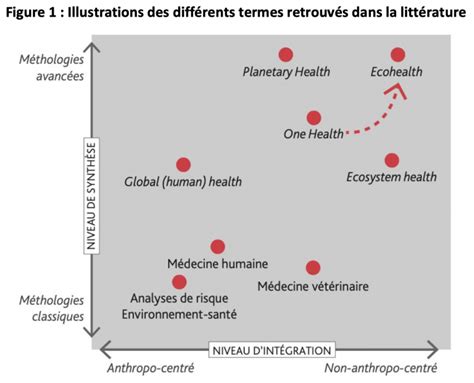 Qu Est Ce Que Le Concept One Health Horizon D Ailes