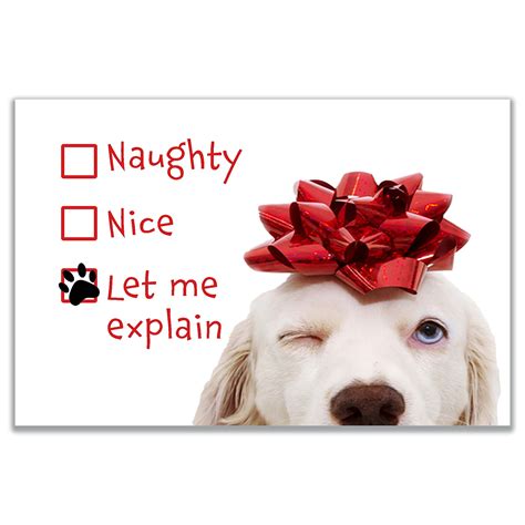 Dog Christmas Cards