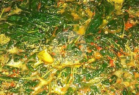19 Restoran Daun Ubi Terenak Di Makassar