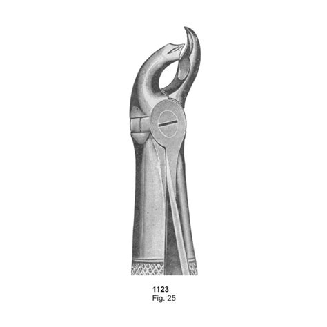 Fig 25 Dental Extraction Forceps Charisma Tech