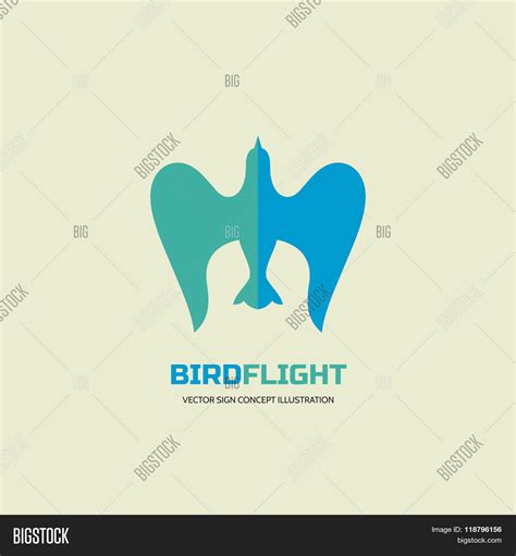 Bird Flight - Vector Vector & Photo (Free Trial) | Bigstock