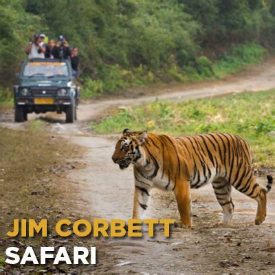 Jim Corbett - Cultural Safari Tours