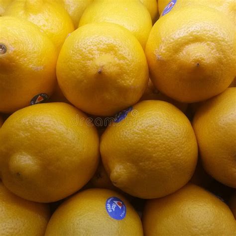 Yellow Lemon Oranges Editorial Stock Image Image Of Clementine 265968664