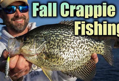 Fall Crappie Fishing — Tips & Techniques AnglingBuzz