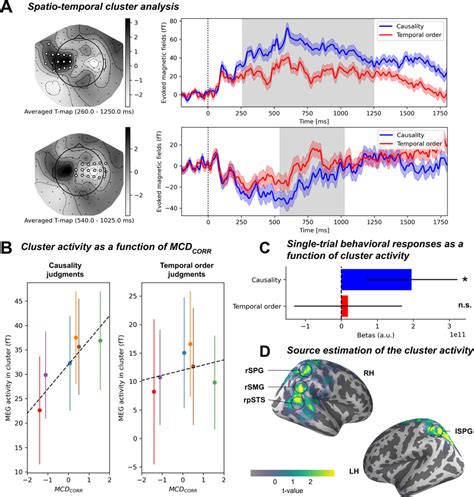 Task Related Evoked Activity And Cortical Source Estimates A