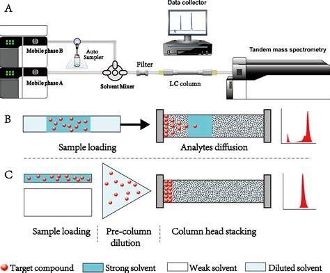 Liquid Chromatography Tandem Mass Spectrometry