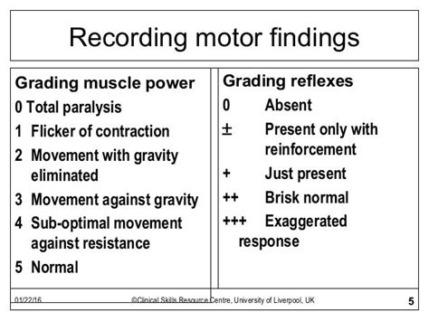 Examination of Lower Limbs