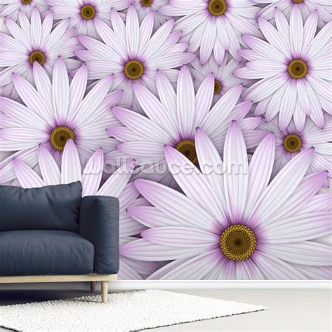 Field Of Purple Daisies Wallpaper Wallsauce Uk