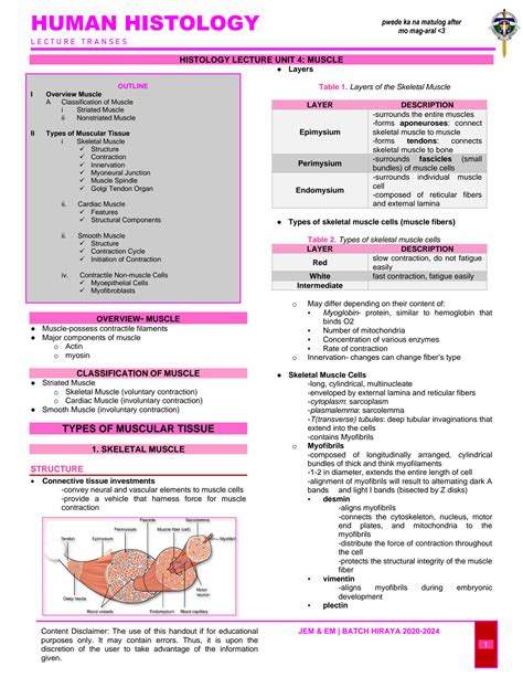 Solution Histology Notes Muscle Tissue Muscular Tissue Studypool