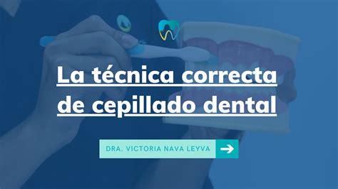 Conoce La T Cnica Correcta De Cepillado Dental