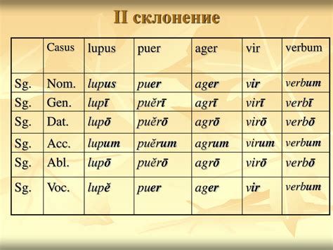 Имя существительное. Второе склонение - презентация онлайн