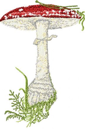 Amanita Muscaria Big Mushroom Machine Embroidery Design