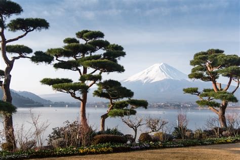 Premium Photo | Mountain fuji fujisan from kawaguchigo lake with garden ...