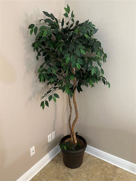 Ft Artificial Ficus Tree Estatesales Org