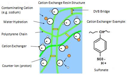 Ion Exchange Method - Rephile