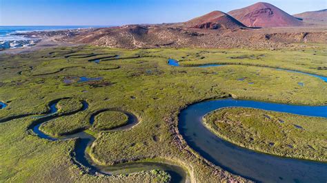 Humedales De La Bahía De San Quintín Un Espacio De Conservación En