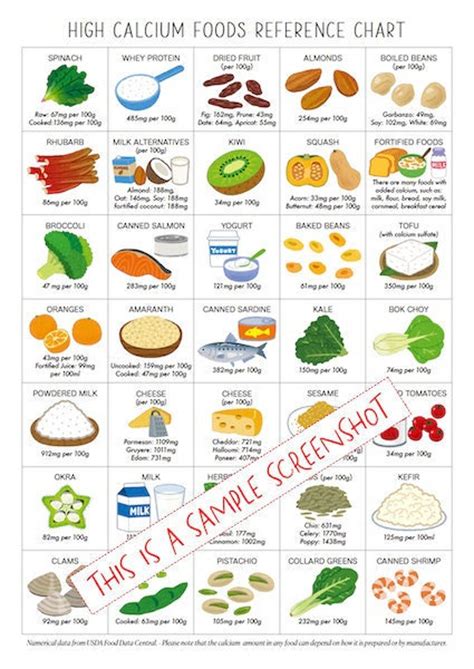 High Calcium Foods Reference Chart 1 Page Pdf Printable Instant