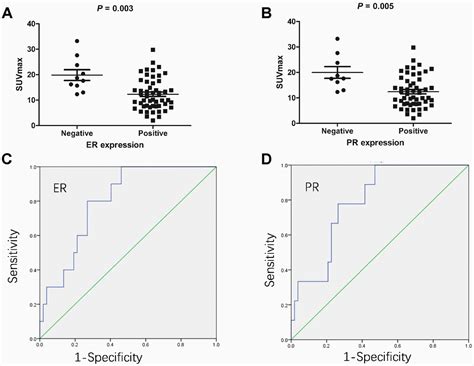 Relationship Between The Expression Of Oestrogen Receptor And