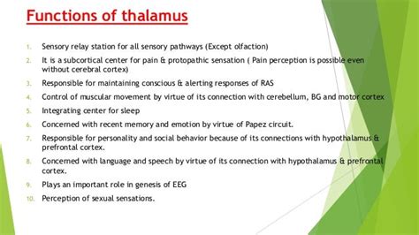 Thalamus-Anatomy,Physiology,Applied aspects