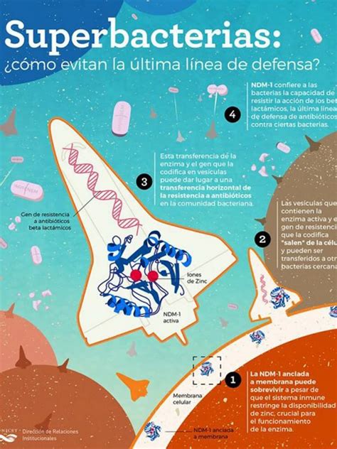 Las Superbacterias Podrían Causar 10 Millones De Muertes Infobae