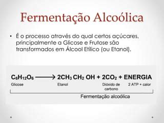 Biotecnologia Fermentação alcoolica PPT