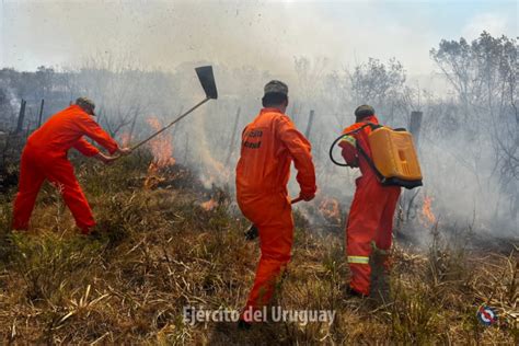 Ejército Del Uruguay On Twitter Hasta El Momento 118 Efectivos Del