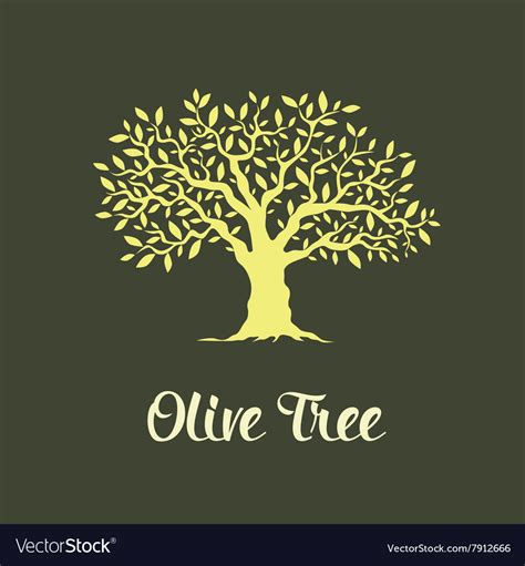 Olive Tree Royalty Free Vector Image VectorStock