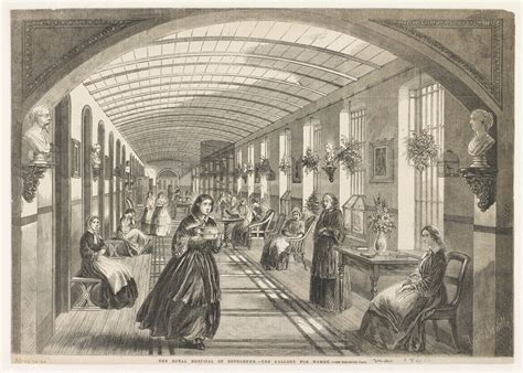 chains whips  misery studying  preserving  lunatic asylums