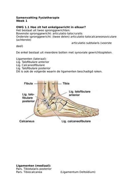 Samenvatting Fysiotherapie Periode 1 Samenvatting Fysiotherapie Week