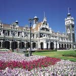 Activities Guided Tours And Day Trips In Dunedin Civitatis