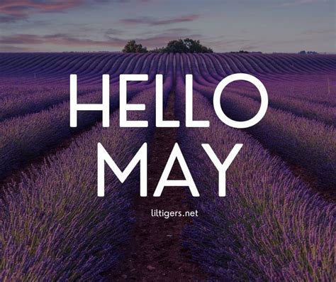 230 Hello May Quotes Sayings And Wishes For Kids 2025 Lil Tigers