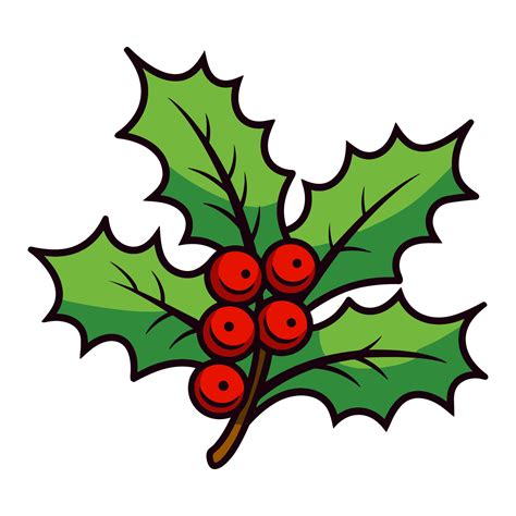 A Holly Vector isolated on a white background, Christmas Holly free ...