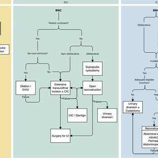 Guidelines on the management of bladder neck contracture due to radical... | Download Scientific ...