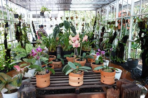 situs taman konservasi anggrek meratus geopark