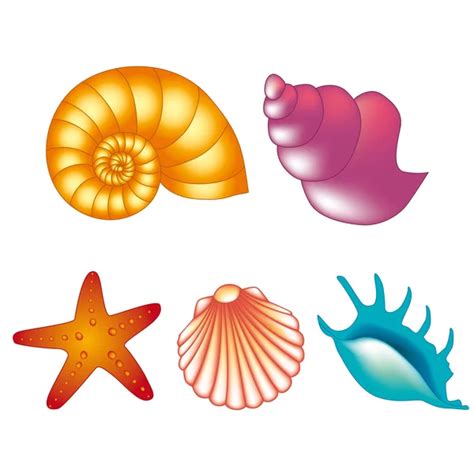 Colorful Tropical Shells Underwater Icon Set Frame Of Sea Shells