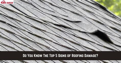 Do You Know The Top Signs Of Roofing Damage Mister Reroof